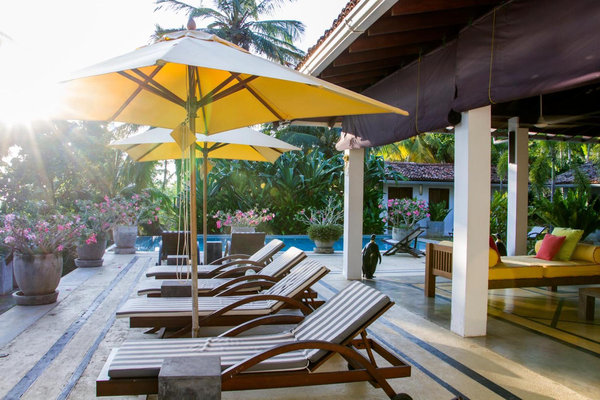 Hotel The Saffron House Dikwella Exterior foto