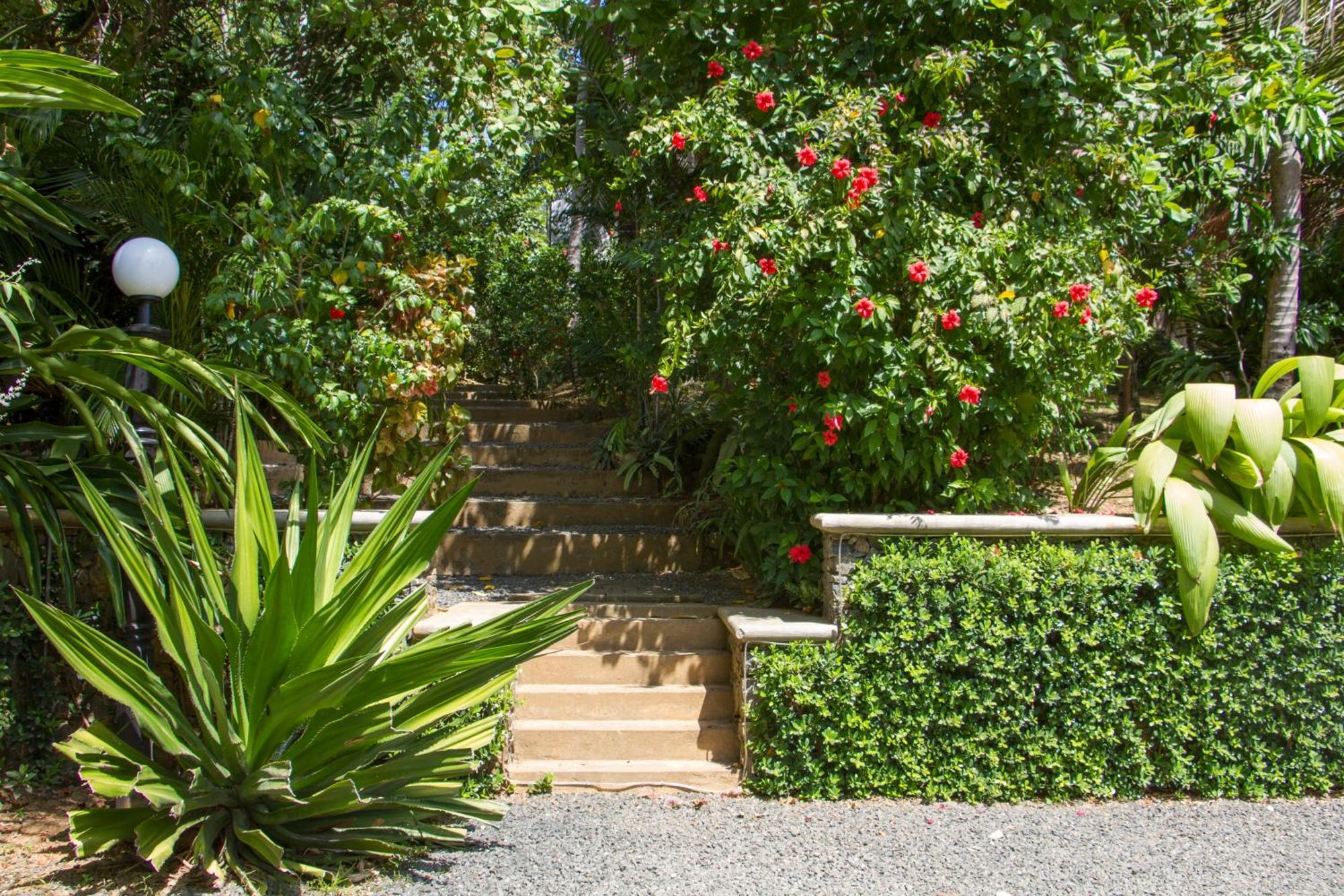 Hotel The Saffron House Dikwella Exterior foto