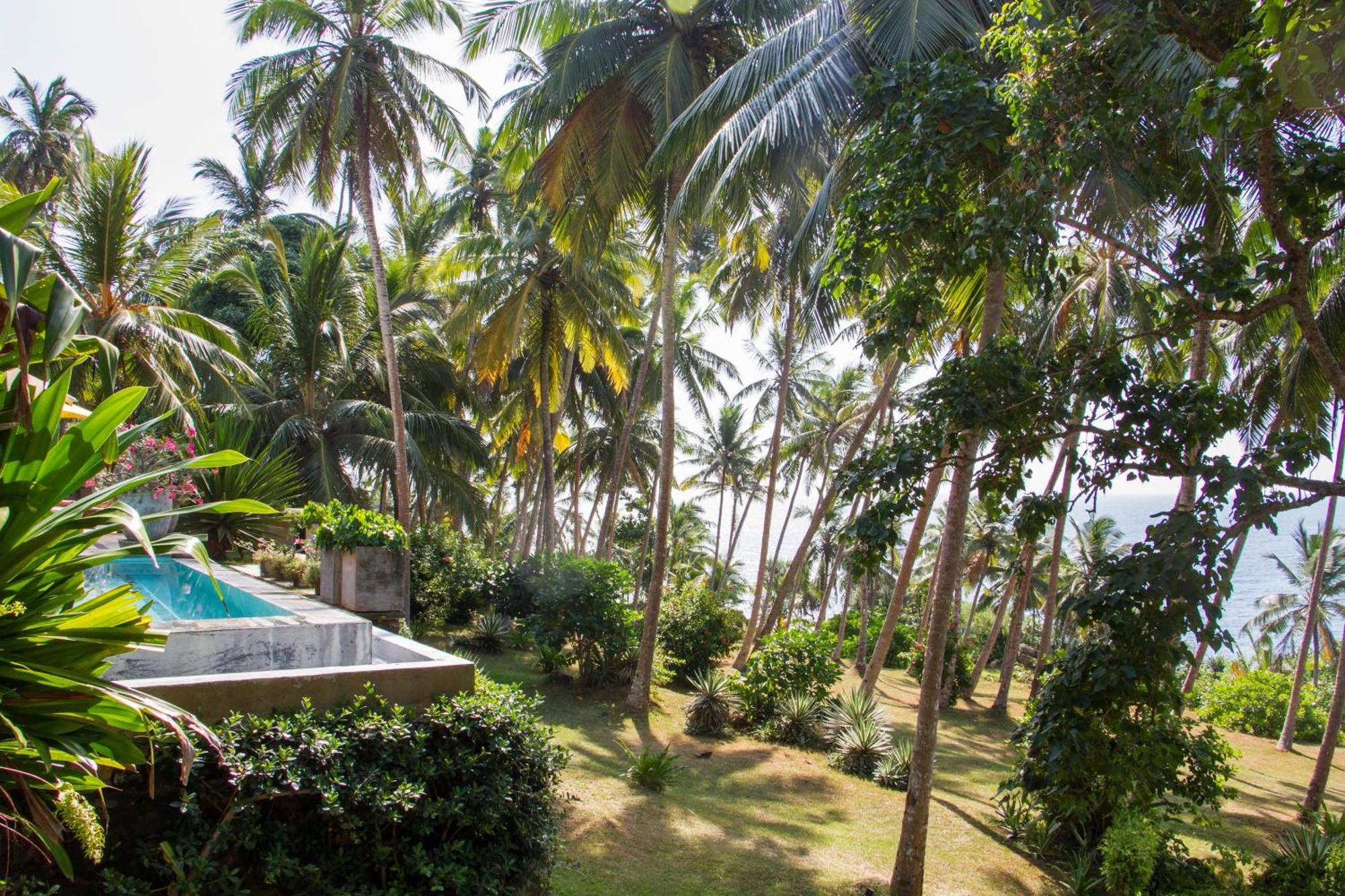 Hotel The Saffron House Dikwella Exterior foto